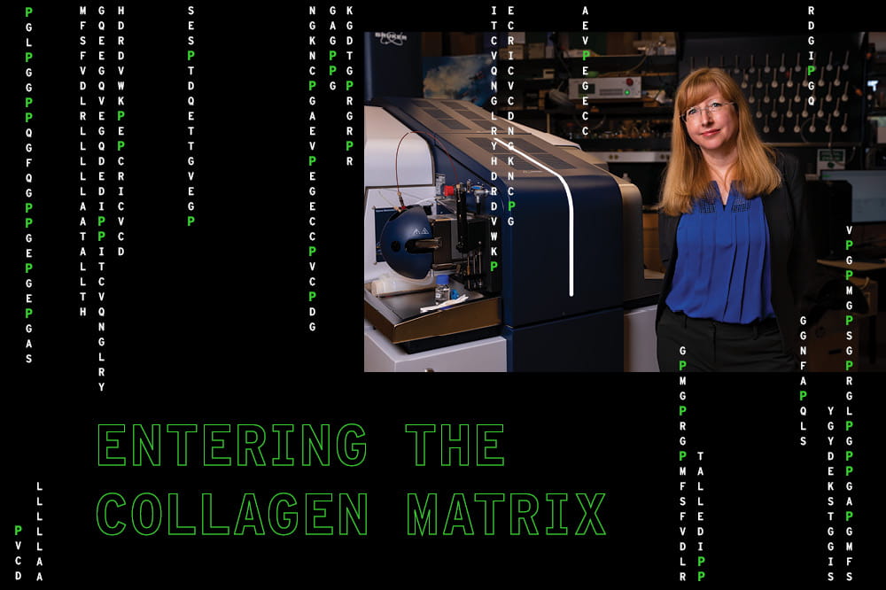 collage with words that say Entering the collagen matrix, an image of a woman standing next to equipment in a research lab and lots of vertical strings of letters representing collagen sequences in breast tissue