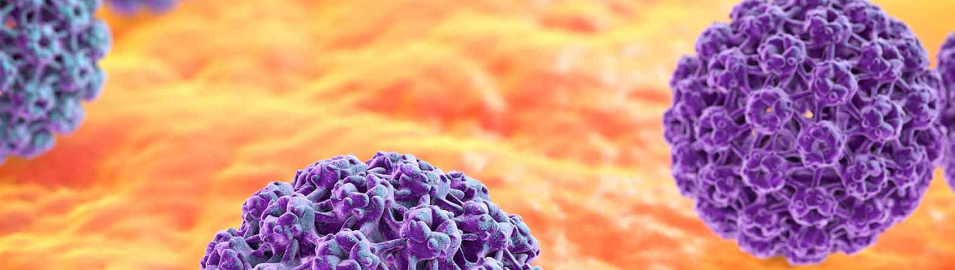 Illustration of HPV Virus