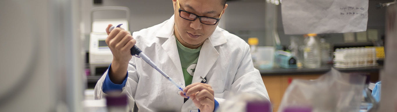 researcher working in the lab
