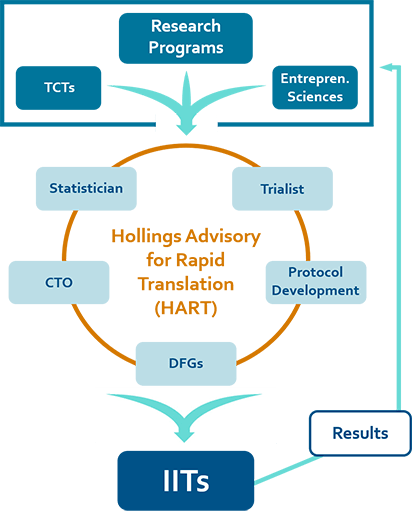diagram showing the process of clinical trial development, with findings from research programs moving through the steps of the Hollings Advisory for Rapid Translation, which helps move concepts forward into investigator initiated trials