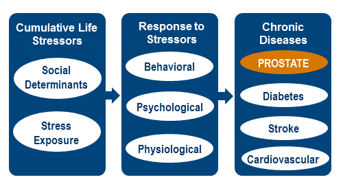 flow chart of stressors leading to diseases