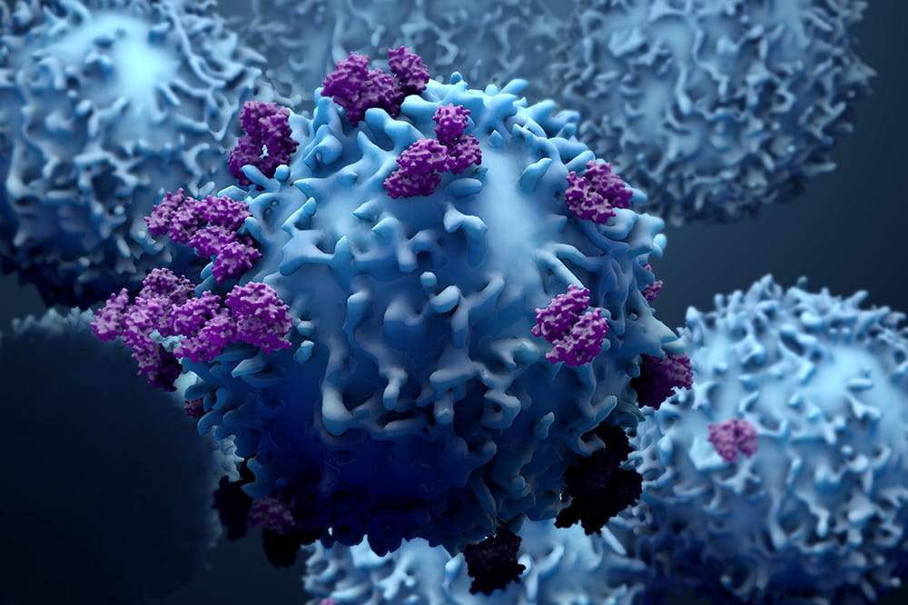 illustration showing immune cells fighting cancer cells