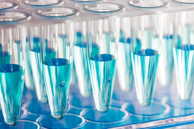test tubes filled with blue liquid