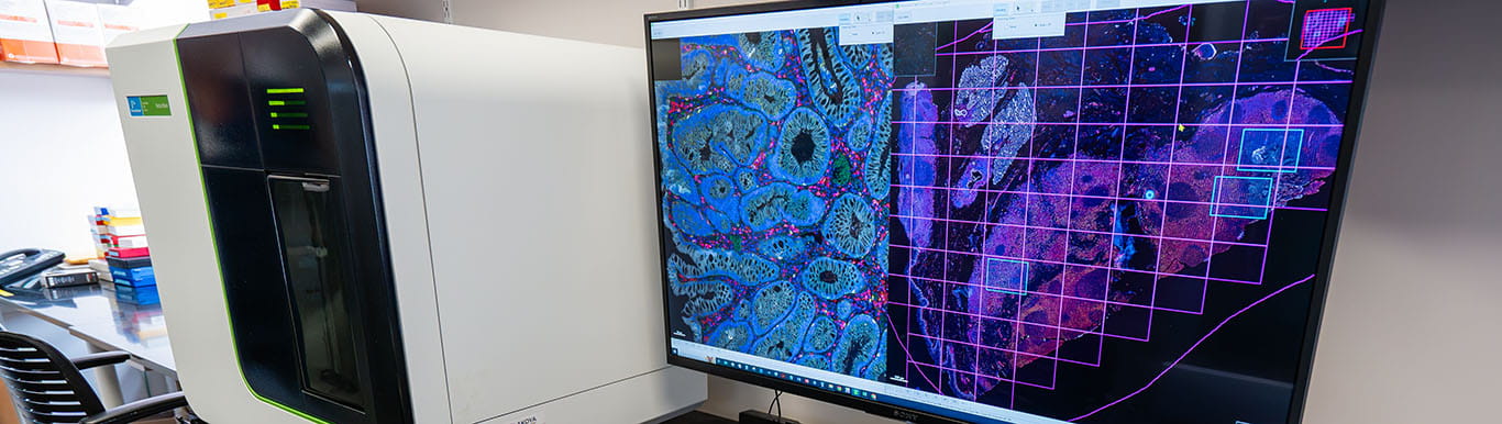 image of an oversized computer monitor showing colorful microscopic images