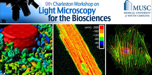 9th Charleston Workshop Logo