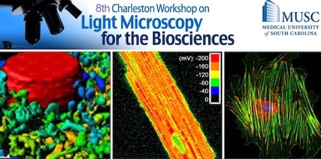 The logo of 8th Charleston Workshop on Light Microscopy for the Biosciences with cell images taken by microscope.