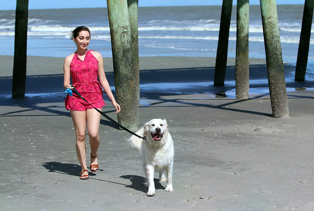 A young woman in a bright pink outfit walks her dog on the beach 