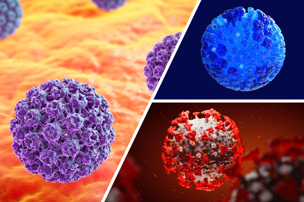 Collage of HPV virus, influenza virus and SARS-CoV-2 virus
