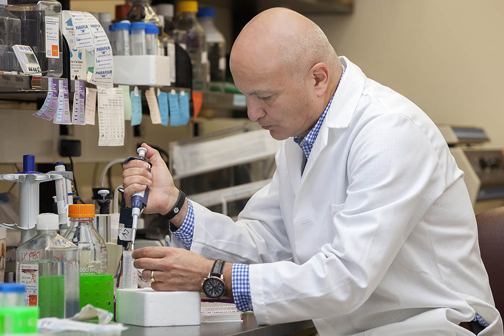 Dr. Besim Ogretmen works in the lab