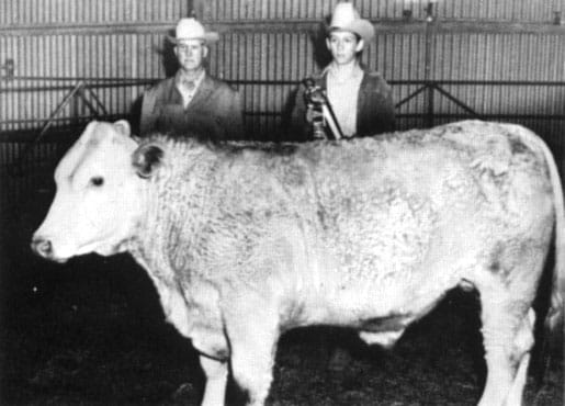 Raymond DuBois stands with one of his steers at a livestock show