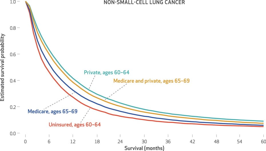 graph showing relationship between estimated survival probability, survival months, age and insurance coverage for non small cell lung cancer