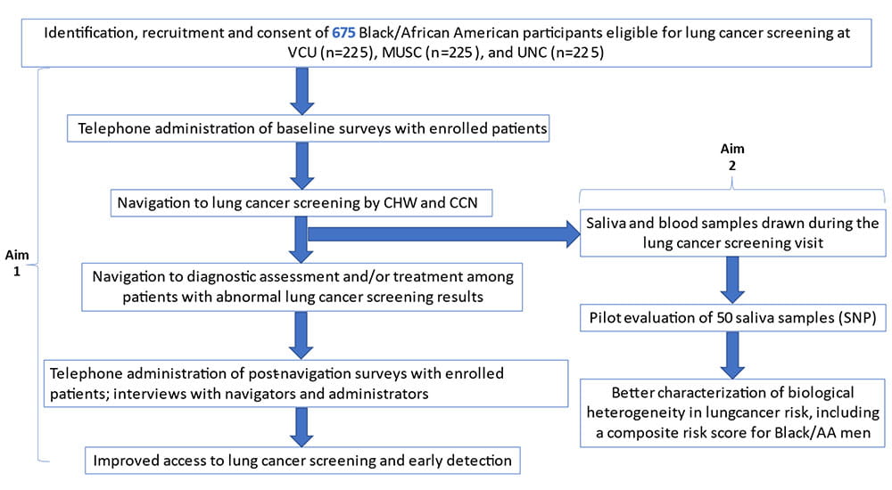 chart showing the steps for the consortium's lung cancer screening and genetic risk marker aims