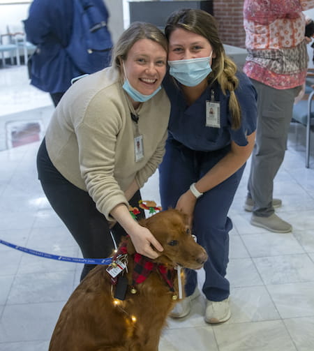 Two nurses posing with a reddish-colored Labrador