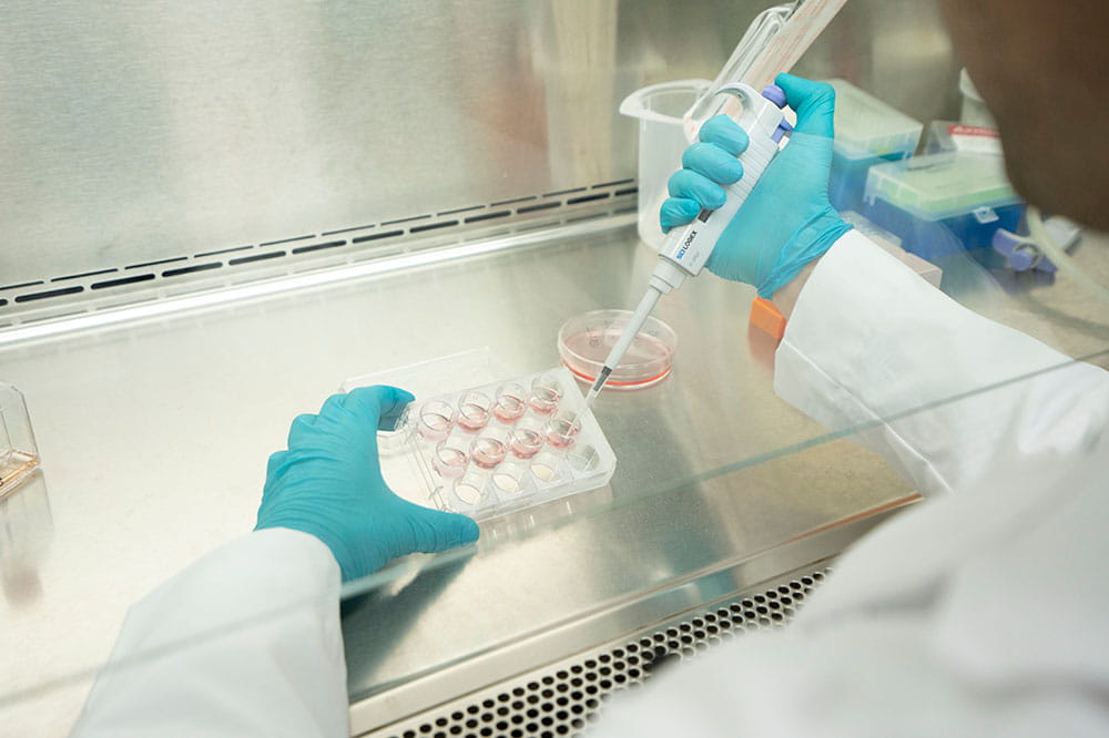 cancer researcher piping samples in the lab