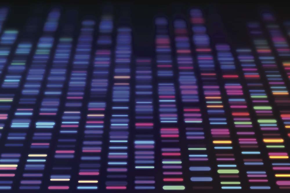 DNA Sequencing Data Processing Genetic Genomic Analysis stock illustration