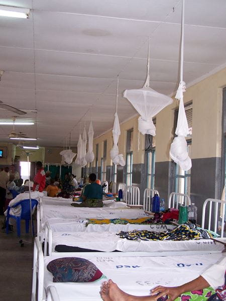 the inside of a very basic hospital room, with no privacy dividers and mosquito nets on all the beds