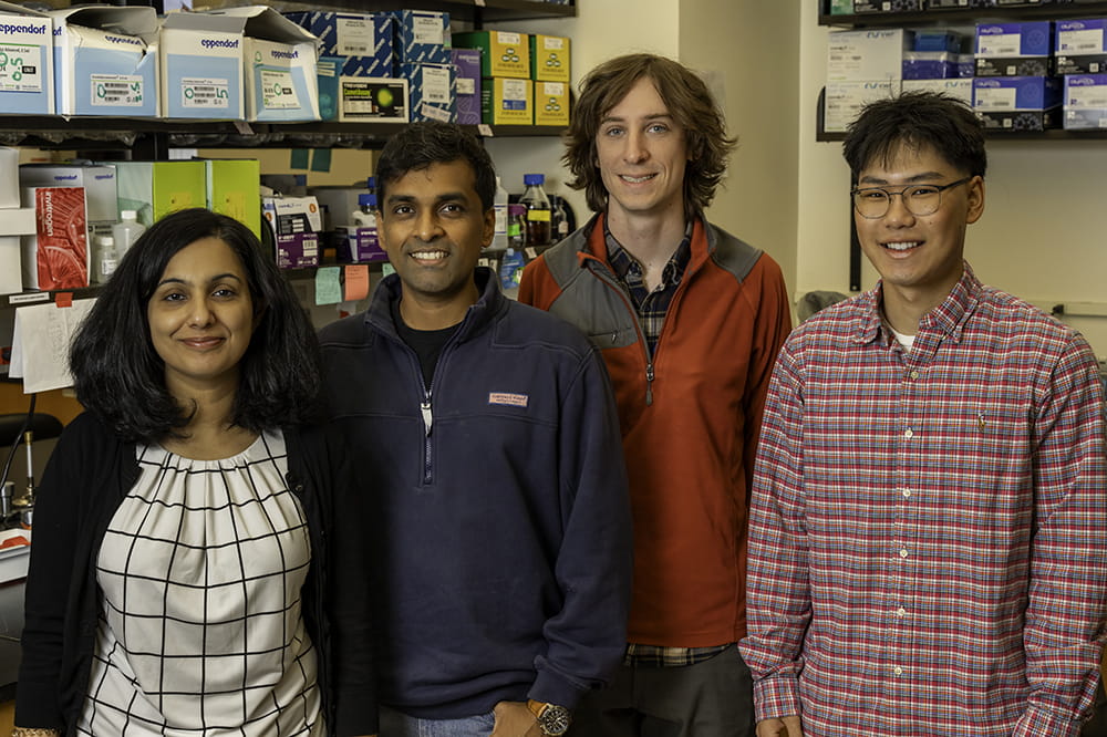 a woman and three men, Dr. Natalie Saini and members of her lab, pose in the lab at Hollings Cancer Center