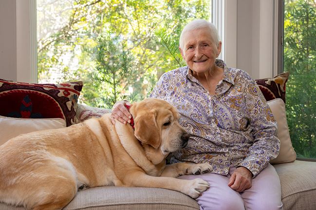 a woman sit on her sofa with a large golden Laborador lounging with her