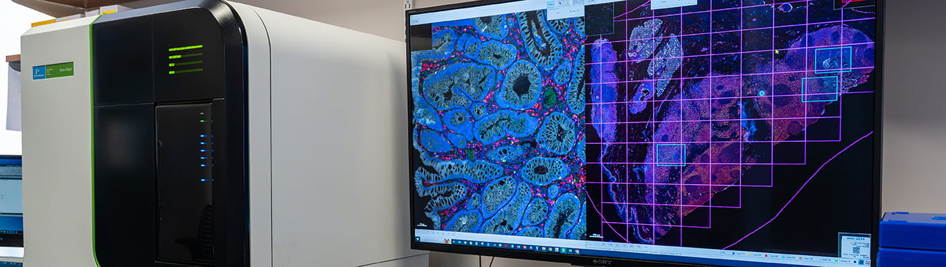image of an oversized computer monitor showing colorful microscopic images